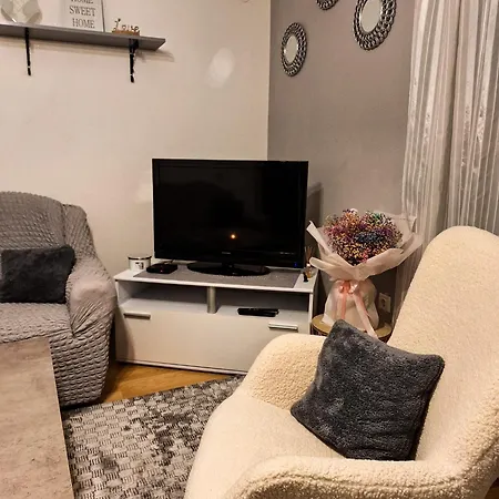 Apartment Zunic *