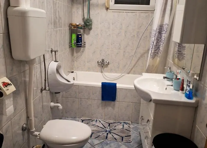 Apartment Zunic *
