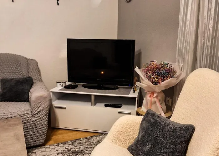 Apartment Zunic *